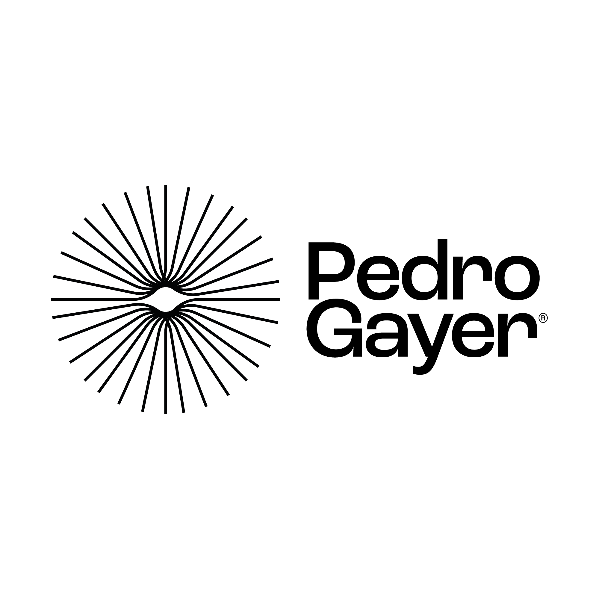 Logo Dr. Pedro Gayer